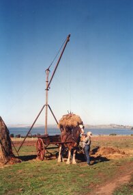 Colour photograph of hay being unloaded
