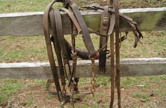 Photograph of horse harnesses on fence