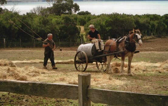 Photograph of Furphy cart being pulled by a horse