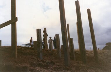 Photograph of pilings