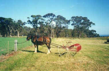 Photograph of horse and hay raker