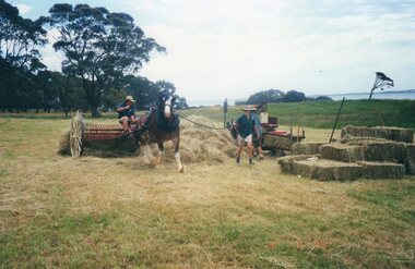 Photograph of horses and hay raker