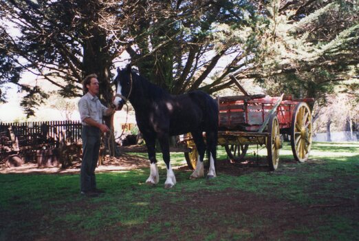 Photograph of man and a horse