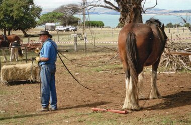 Photograph of man and horse resting