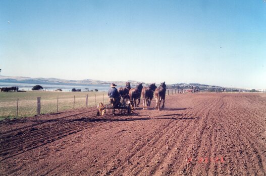 Photograph of team of horses ploughing a field