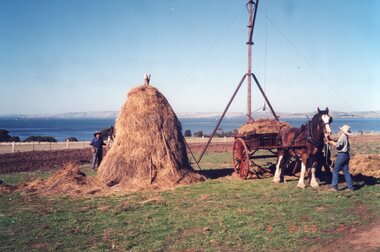 Photograph of hay grabber and hay stack