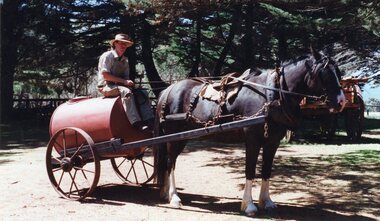 Photograph of horse hitched to the Furphy cart