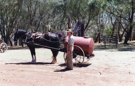 Photograph of horse hitched to the Furphy cart