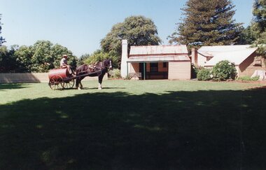 Photograph of a horse hitched to the Furphy cart in front of Rogers Cottage