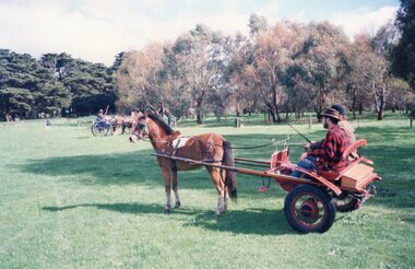 Photograph of two people on a cart being pulled by a foal.