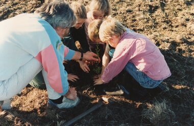 Photograph of group planting a tree
