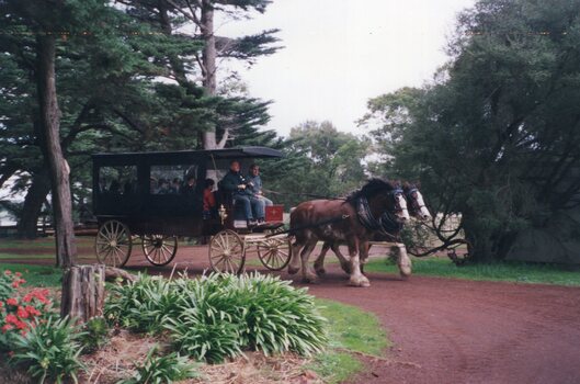 Photograph of horses pulling people in a wagon