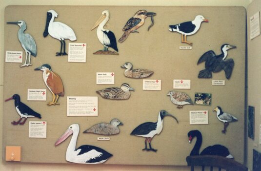 Photograph of birds on the Visitor's Centre Display