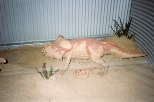 Photograph of two models of dinosaurs