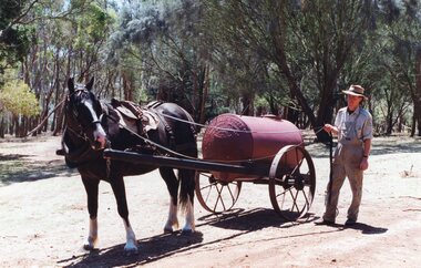 Photograph of a horse hitched to a Furphy cart