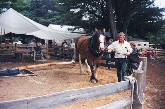 Photograph of a man leading a horse in a pen