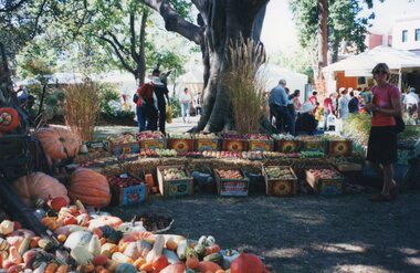 Photograph of pumpkin and apple display