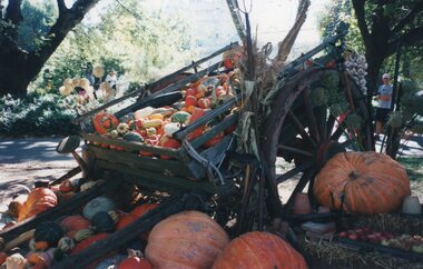 Photograph of pumpkins and wagon