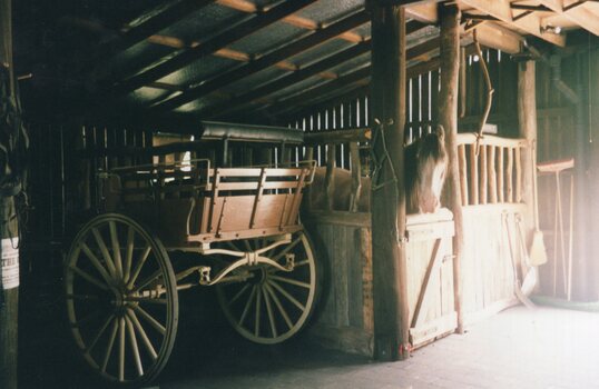 Photograph of a stabled horse and wagon