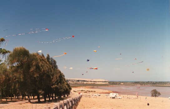 Photograph of kites flying over the shoreline