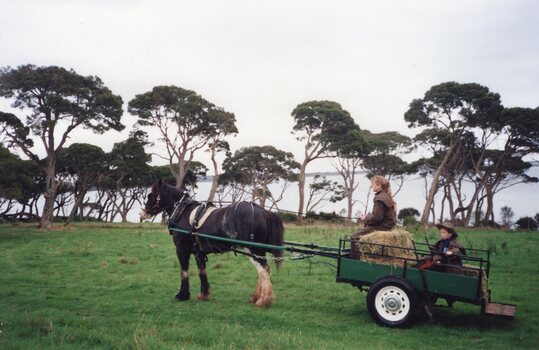 Photograph of horse and trailer