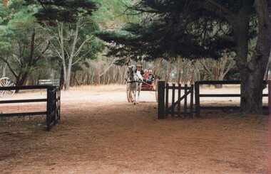 Photograph of horse and wagon