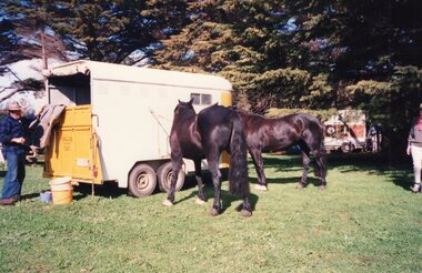 Photograph of two men and two horses