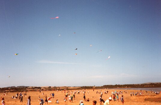 Photograph of people and kites on a beach