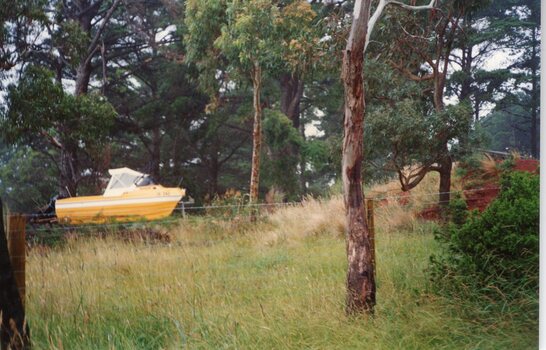 Photograph of yellow boat in the bush