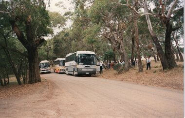 Photograph of three parked busses