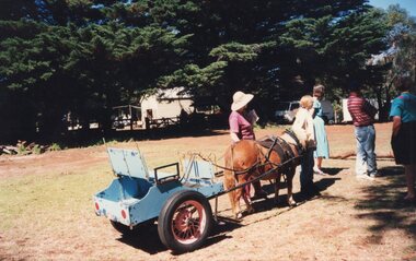 Photograph of miniature horse pulling blue trailer