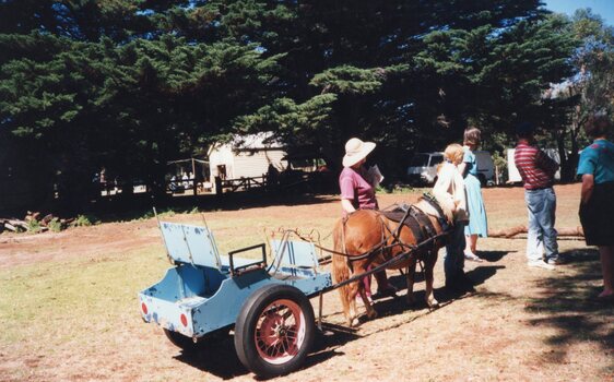 Photograph of miniature horse and cart