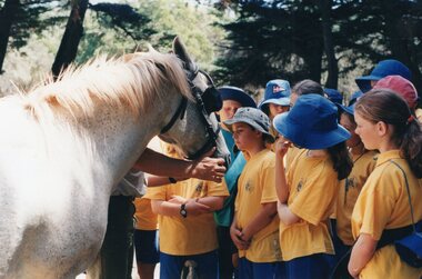 Photograph of group of schoolchildren and horse