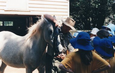 Photograph of white horse and school children