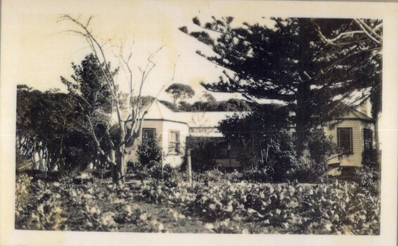 a photograph of amess house