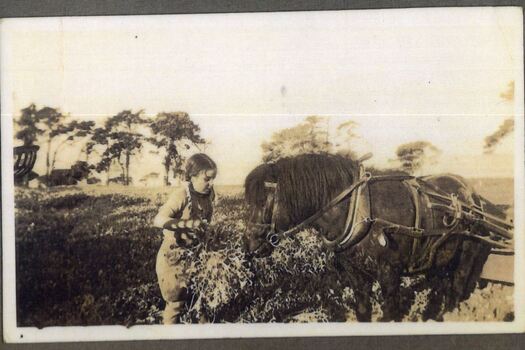 Photograph of girl and horse
