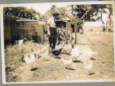 Photograph of a woman and chickens