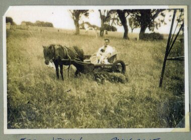 photograph of man in pony cart