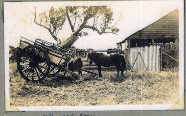 Photograph of two horses and a cart
