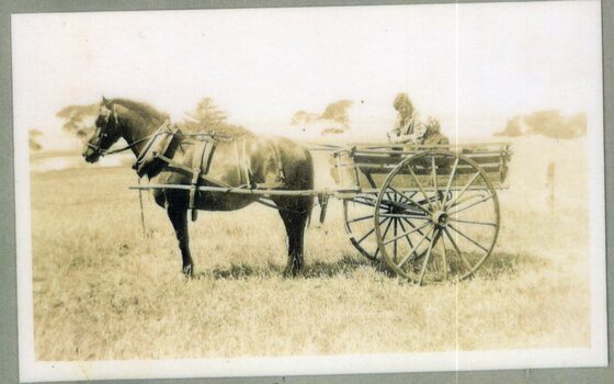 Photograph of horse pulling cart