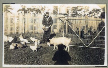 Photograph of man feeding animals