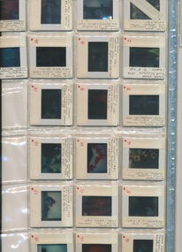 Slide - Set of slides, Cohn, Anna Slide set
