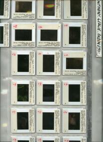 Slide - Set of slides, Anthony, Leslie Arden slide set