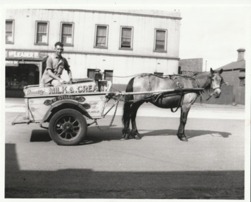 Photograph - William Raeburn STUART on milk float with horse, 'Goatie', Bridge Street, near Ross Street, Port Melbourne, 1930s