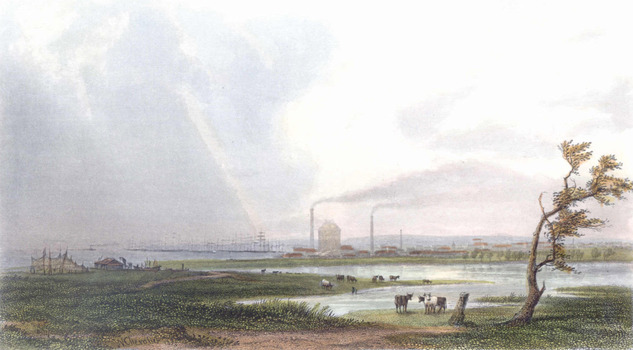 A pastural scene with cows grazing beside the water. Sailing ships moored at a pier, a tall building and three smoking chimneys can be seen in the background.