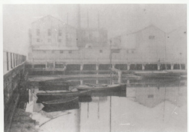 Photograph - Lagoon, Port Melbourne, 1905