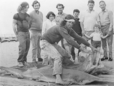 A young man with long hair and a head band stands on a pier astride five recently-caught sharks leaning down and holding open the mouths of two of them.