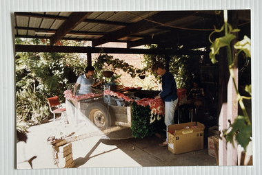 Photograph - Friends of the Park float, Port Melbourne Festival, Pat Grainger, Feb 1989