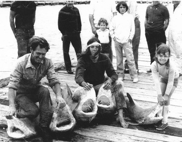 A man kneels on a pier holding open the mouths of two recently-caught sharks, next to him a young man with long hair and a head band also holds open the mouths of two sharks and next to him a girl holds open the mouth of another shark. Several bystanders look on in the background.