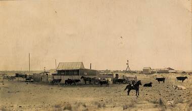 Photograph - Butcher family dairy, c. 1920